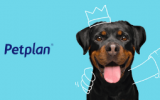 PetPlan Review - Logo